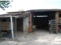 Vendesi casa con  annessi e terreno agricolo a trevi in provincia di perugia in umbria